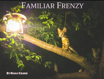 Familiar Frenzy