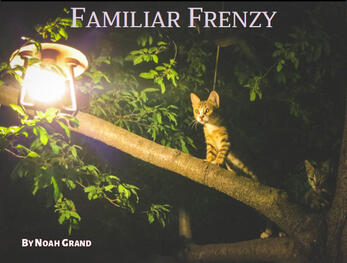 Familiar Frenzy